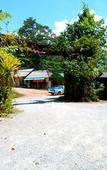 Туры в отель Khao Sok Tree House