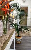 Туры в отель TAM Casa Vacanze