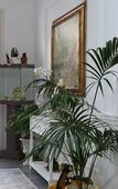 Туры в отель TAM Casa Vacanze