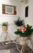 Туры в отель TAM Casa Vacanze