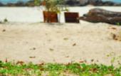 Туры в отель La Laanta Hideaway Resort