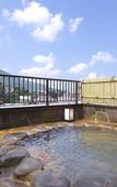 Туры в отель Shibu Onsen Ichinoyu Katei