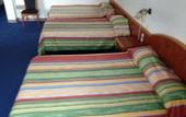Туры в отель Hotel Hibiscus