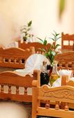 Туры в отель Mooiplaas Guesthouse