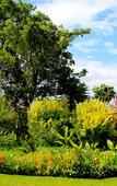 Туры в отель Mooiplaas Guesthouse