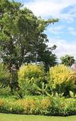 Туры в отель Mooiplaas Guesthouse
