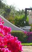 Туры в отель Mooiplaas Guesthouse