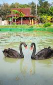 Туры в отель Jintana Resort