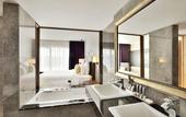 Туры в отель Novotel Imagica Khopoli Hotel