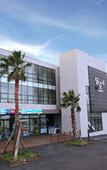 Туры в отель Dammora Resort