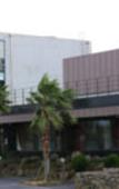 Туры в отель Dammora Resort