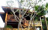 Туры в отель Ayutthaya Retreat