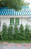 Туры в отель Baan Luang Harn
