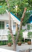 Туры в отель Baan Luang Harn