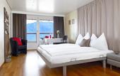 Туры в отель Hotel Alpenblick