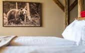 Туры в отель Hotel Alpenblick