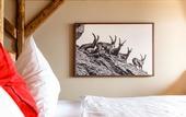 Туры в отель Hotel Alpenblick