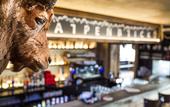Туры в отель Hotel Alpenblick
