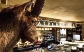 Туры в отель Hotel Alpenblick