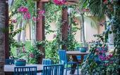 Туры в отель Carmel Cumbuco Resort