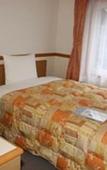 Туры в отель Toyoko Inn Moriya Ekimae