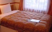 Туры в отель Toyoko Inn Takamatsu Hyogomachi