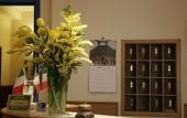 Туры в отель Hotel Leopardi