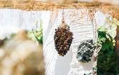 Туры в отель Villino Eleonora & Spa