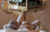 Туры в отель Relais Fattoria Valle