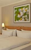 Туры в отель H+ Hotel & SPA Friedrichroda by Sunday Hotels
