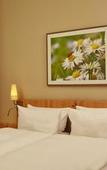 Туры в отель H+ Hotel & SPA Friedrichroda by Sunday Hotels