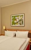 Туры в отель H+ Hotel & SPA Friedrichroda by Sunday Hotels