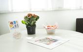 Туры в отель Hotel Sharing