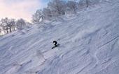Туры в отель Chalet Ivy Hirafu