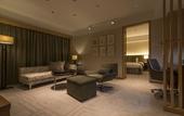 Туры в отель Hotel JAL City Tsukuba