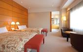 Туры в отель Hotel JAL City Tsukuba