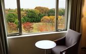 Туры в отель Hotel JAL City Tsukuba