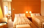 Туры в отель Hotel JAL City Tsukuba
