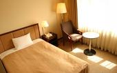 Туры в отель Hotel JAL City Tsukuba