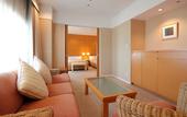 Туры в отель Hotel JAL City Tsukuba