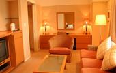 Туры в отель Hotel JAL City Tsukuba