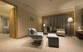Туры в отель Hotel JAL City Tsukuba