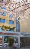 Туры в отель Benikea Jungmun Hotel