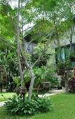 Туры в отель Family House at Pai