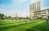 Туры в отель Muong Thanh Grand Quang Nam