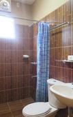 Туры в отель Hotel Palwa