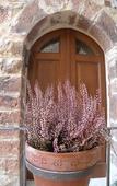 Туры в отель B&B A Casa delle Fate