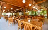 Туры в отель Julian Forest Suites