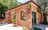 Туры в отель Julian Forest Suites
