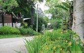 Туры в отель Pai Vintage Garden Resort
